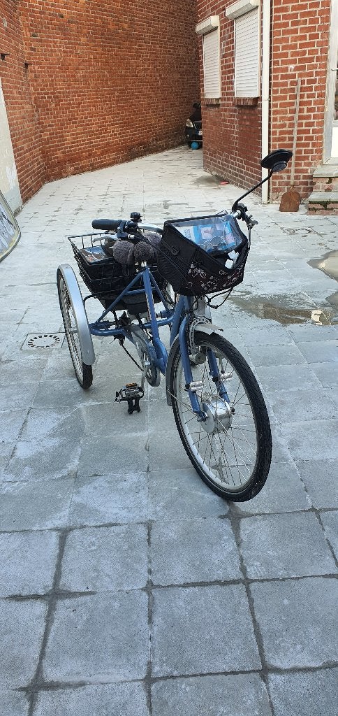 Classic tribike elektrisch, Ophalen, Zo goed als nieuw, Overige merken