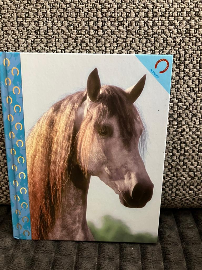 Nouveau carnet chevaux 16 x 13 cm, Divers, Fournitures scolaires, Enlèvement ou Envoi, Neuf
