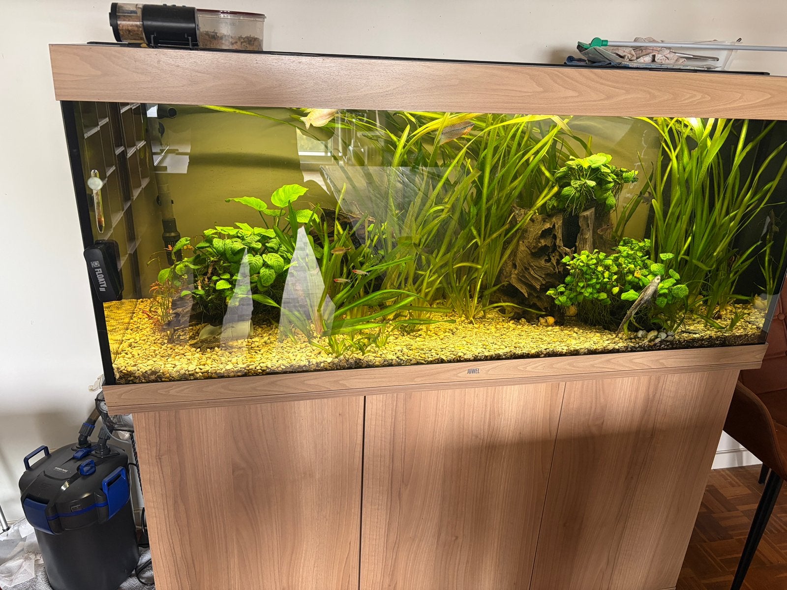 Grand aquarium complet! À saisir! groot aquariumcompleet!, Animaux & Accessoires, Enlèvement, Comme neuf, Filter, Sera