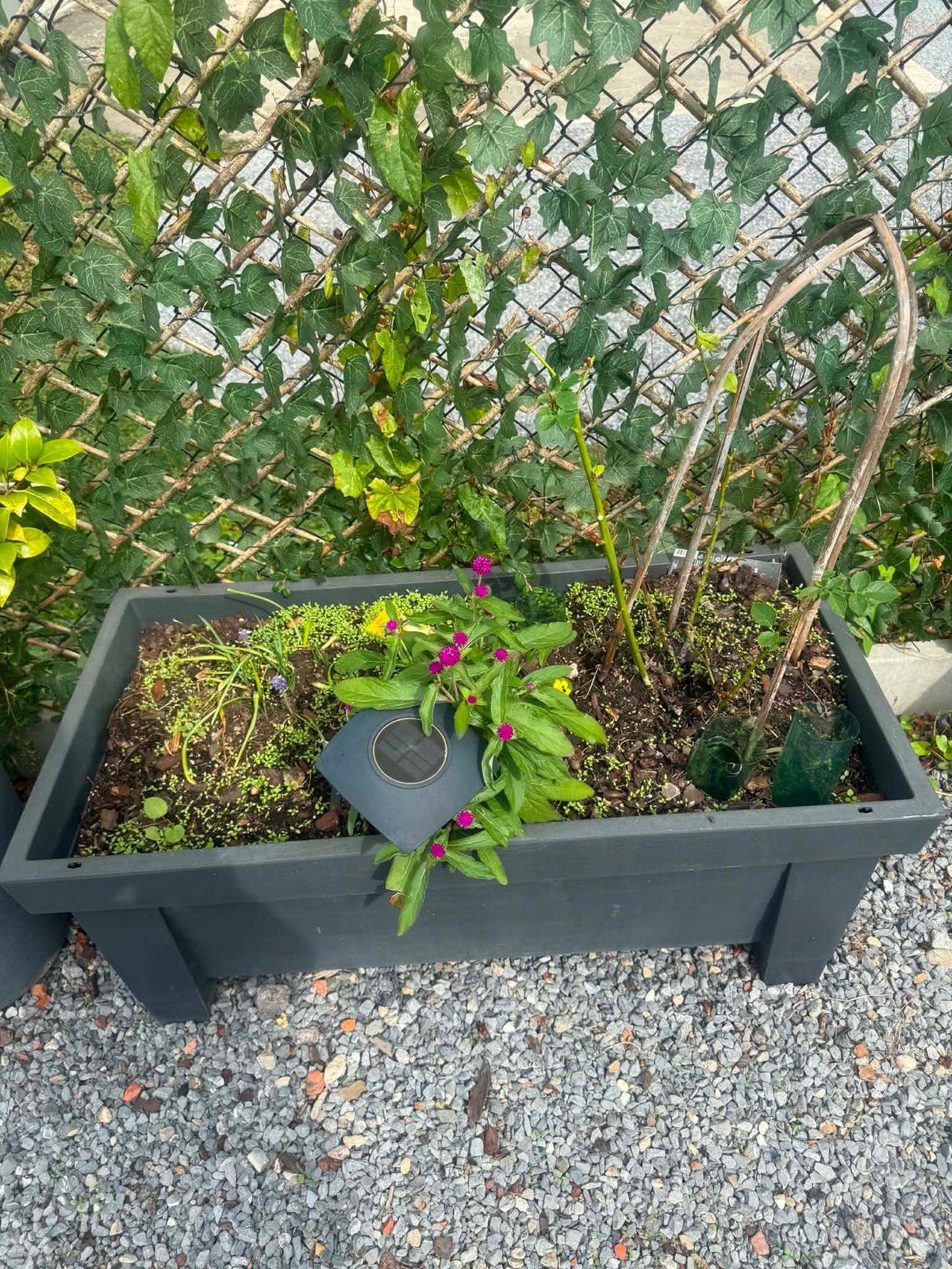 Planten +bak, Tuin en Terras, Ophalen, Zo goed als nieuw