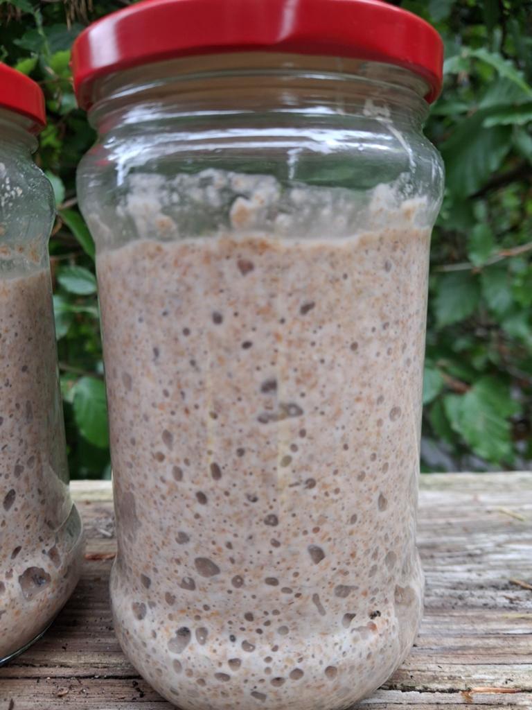 Krachtige,  gezonde zuurdesemstarter, Diversen, Levensmiddelen, Ophalen of Verzenden