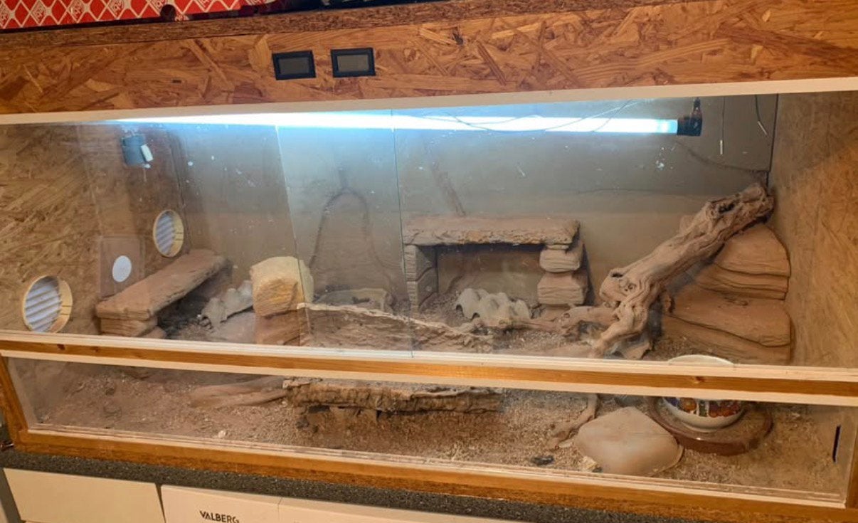 Terrarium complet à vendre, Enlèvement, Comme neuf
