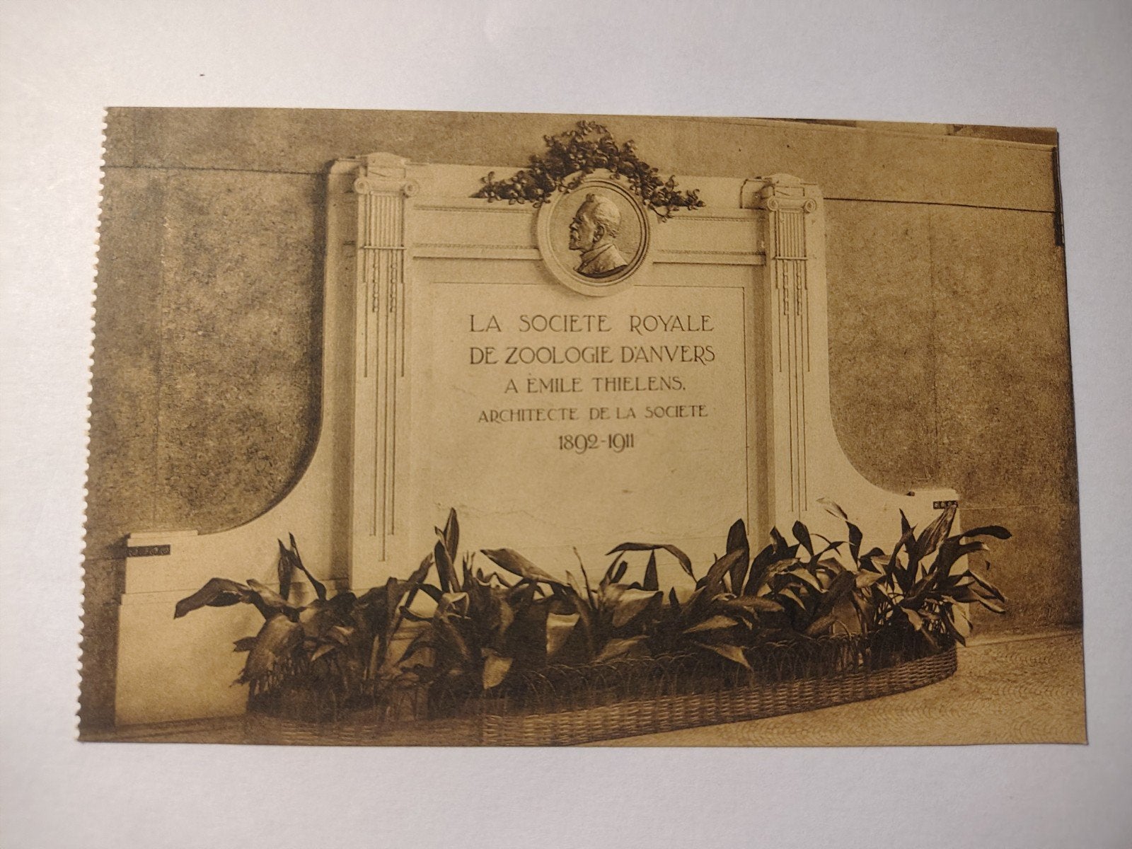 Plaque commémorative du zoo Thielens d'Anvers., Enlèvement ou Envoi, Anvers