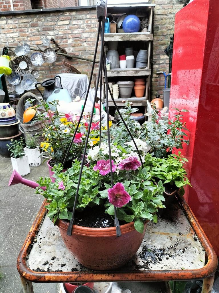 Moederdag maandag bloemen hanger, Ophalen, Kunststof