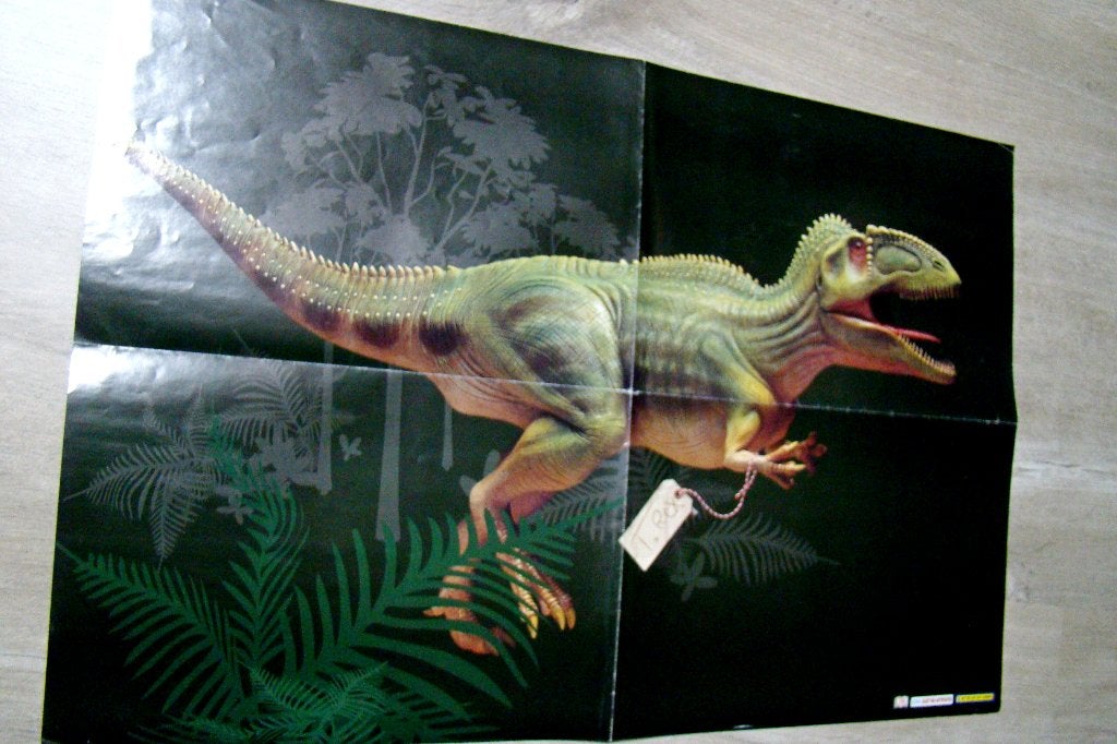 affiche T-REX Tyrannosaurus Rex + Dino Race photo et faits, Enlèvement ou Envoi, Comme neuf, Animal, Gravure