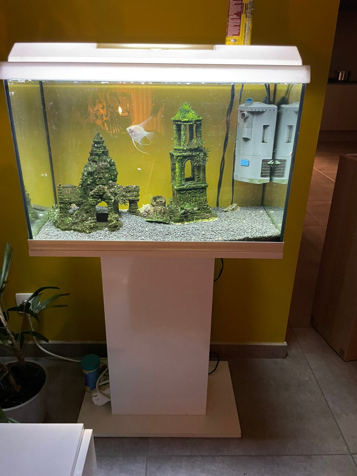 Aquarium met pomp/filter en accessoires, Ophalen, Inclusief toebehoren, Gebruikt, Aquariummeubel