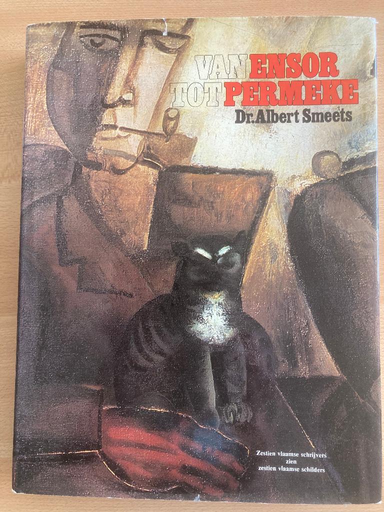 D'Ensor à Permeke, Livres, Art & Culture | Arts plastiques, Utilisé, Enlèvement ou Envoi