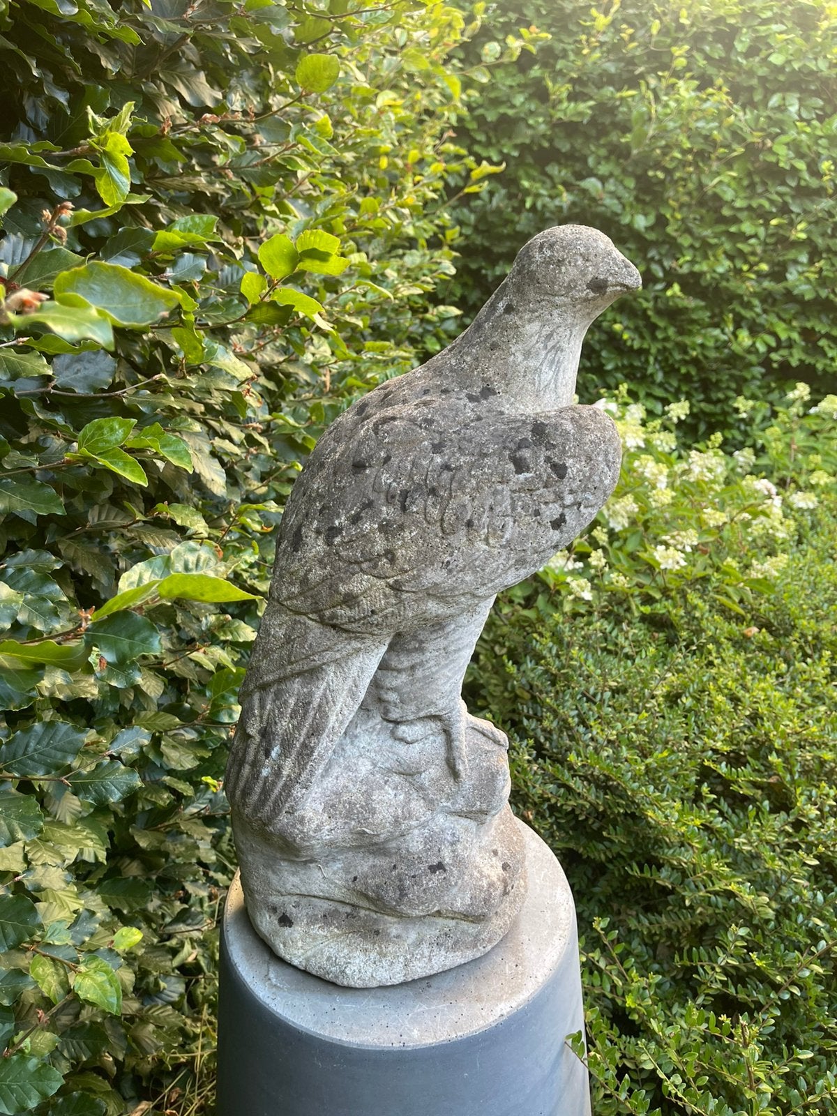 Sierlijk tuinbeeld adelaar, Ophalen, Gebruikt, Beton, Dierenbeeld