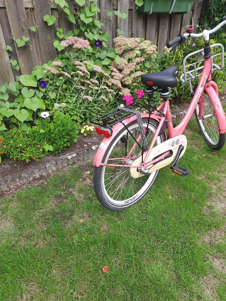 Alpina Clubb meisjesfiets 24 inch wielen., Ophalen, Terugtraprem, Alpina, Handrem