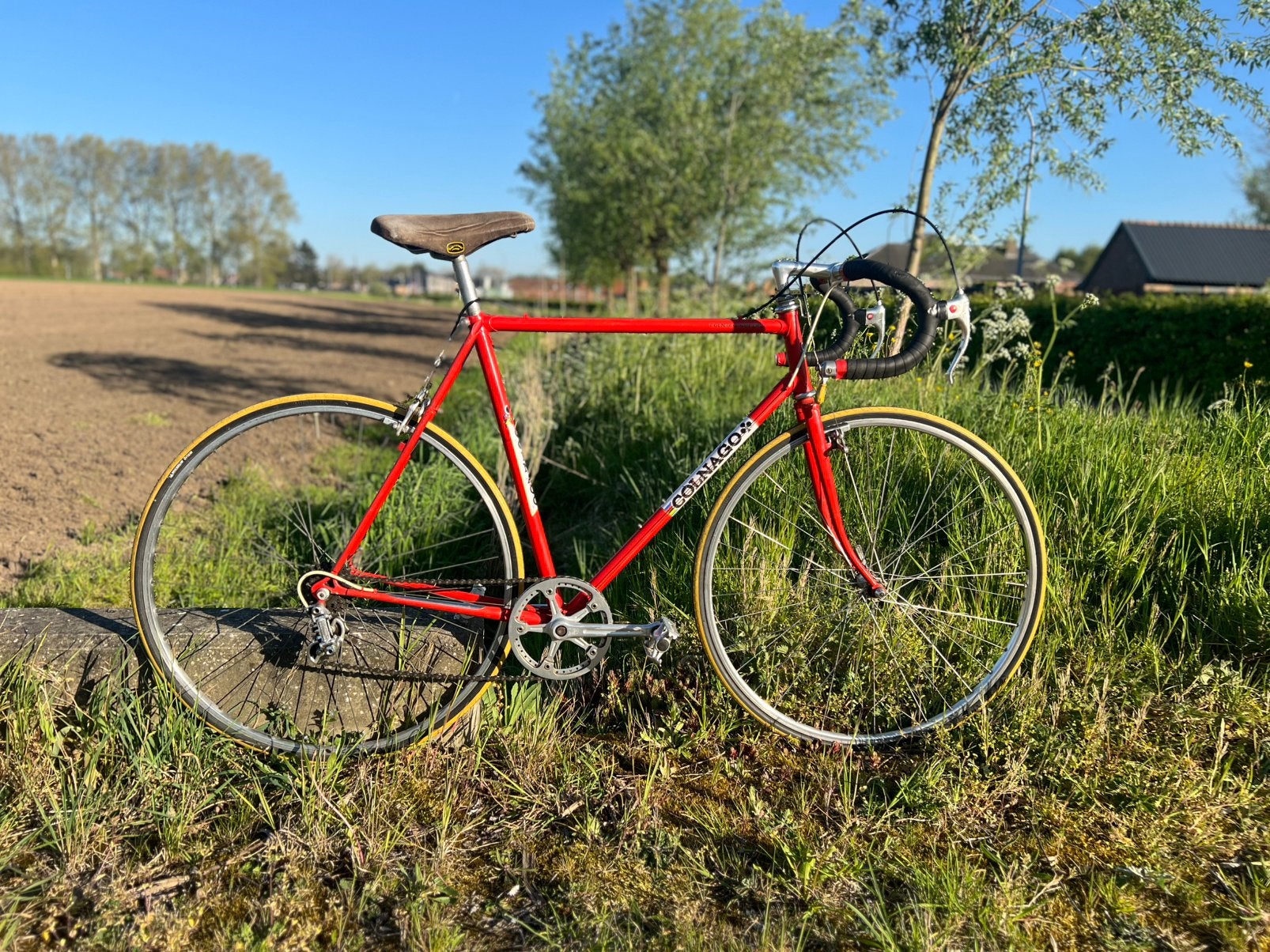 Colnago Super ‘70-80 DiPaolo, Overige merken, Staal, Ophalen of Verzenden, Zo goed als nieuw