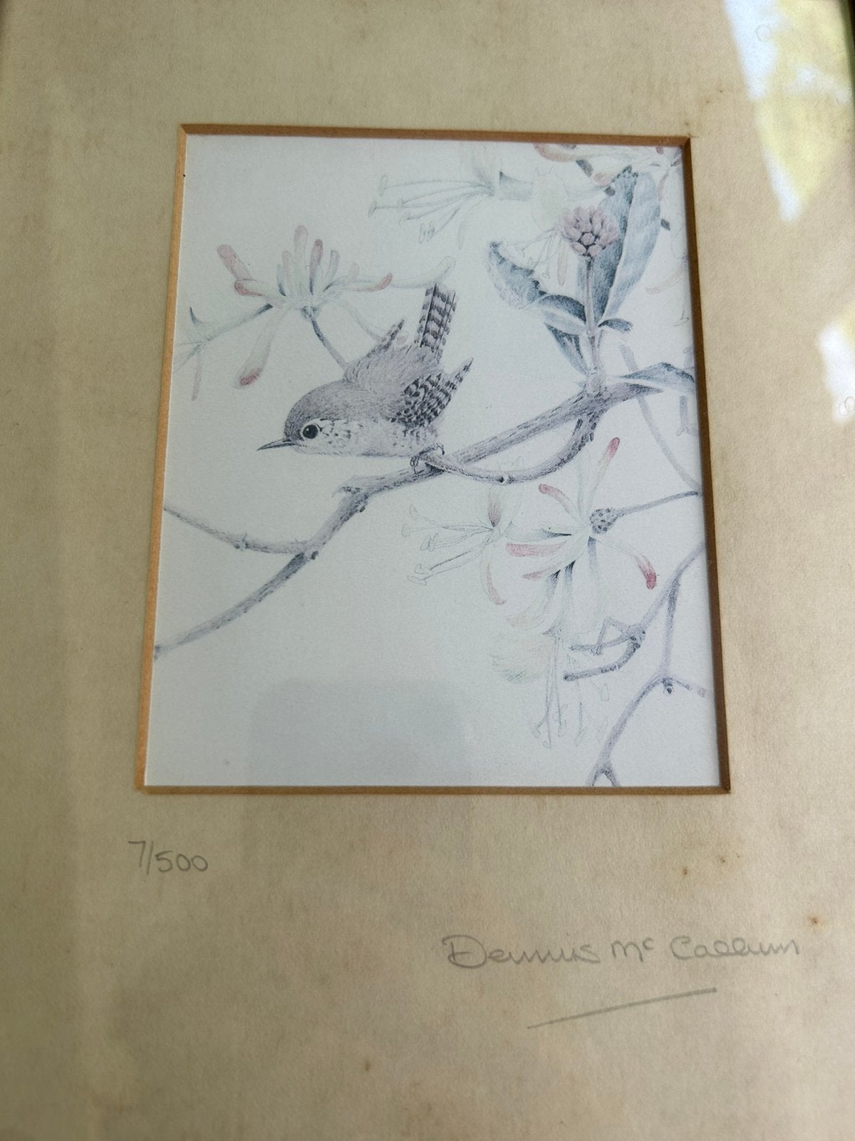 Schilderij Dennis McCaddon - Wren, Antiek en Kunst, Ophalen of Verzenden, Schilderij