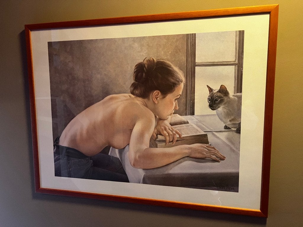 Ingelijste reproductie Frans Van Hove (Vrouw met kat), Ophalen, Achter glas