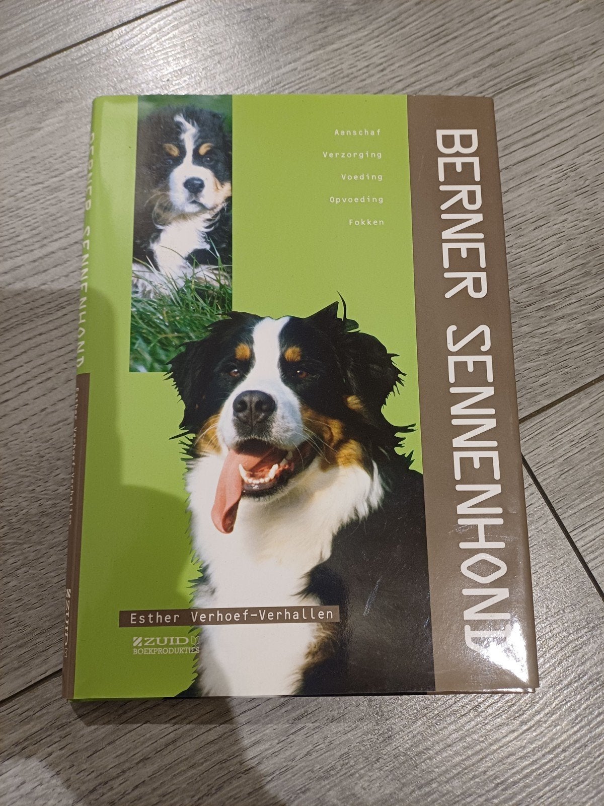 E. Verhoef-Verhallen - Berner Sennenhond, Ophalen of Verzenden, E. Verhoef-Verhallen