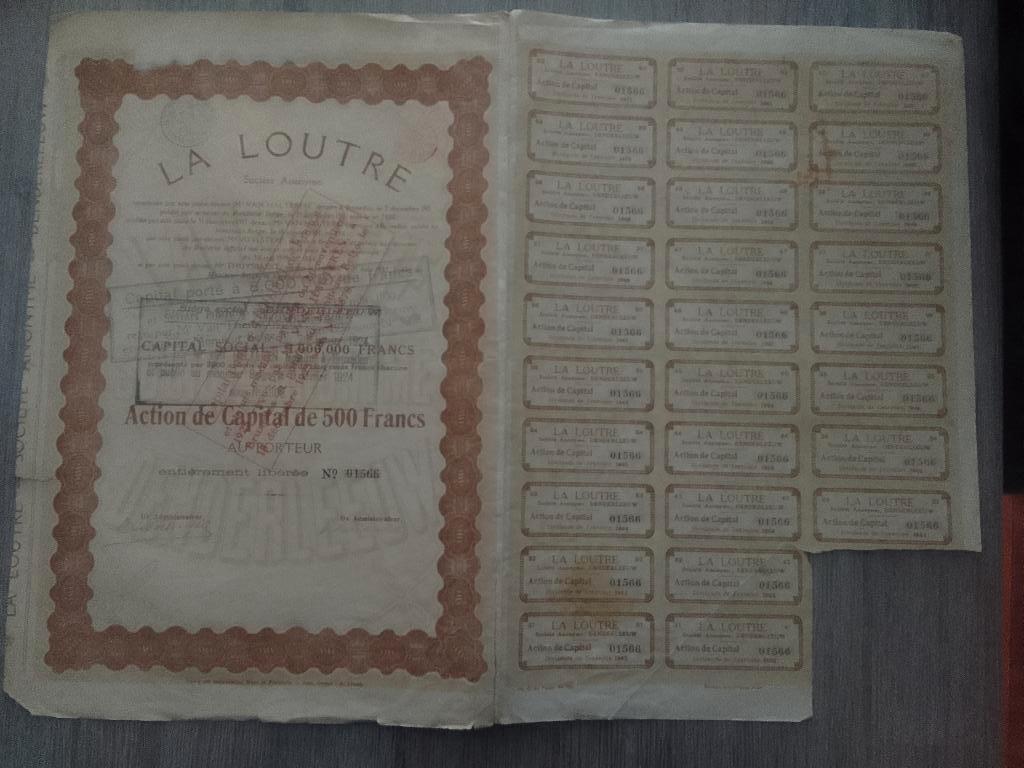 Titre action Tannerie La LOUTRE 1942 Denderleeuw, Enlèvement ou Envoi, Action