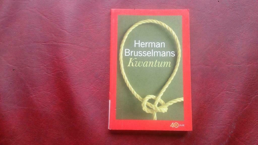 Herman brusselmans - kwantum, Boeken, Ophalen of Verzenden