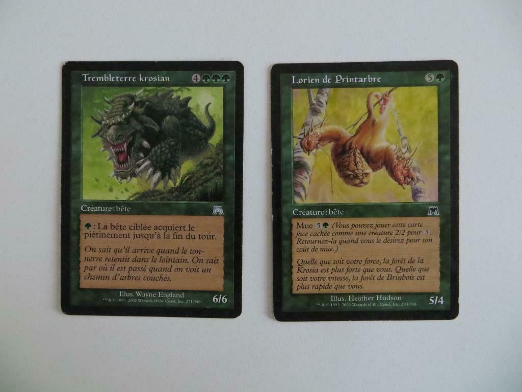 Cartes Carnage Magic L'Assemblée, Hobby & Loisirs créatifs, Jeux de cartes à collectionner | Magic the Gathering, Enlèvement ou Envoi