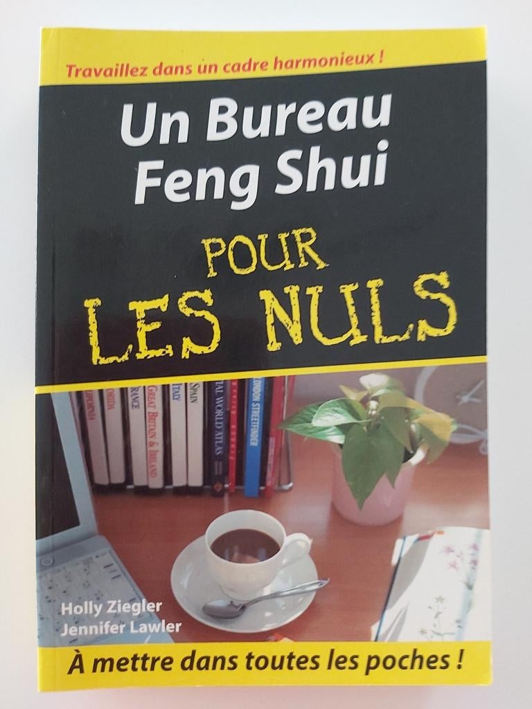 Un bureau Feng Shui pour les nuls, Livres, Neuf, Enlèvement ou Envoi, Intérieur et Design, Collectif