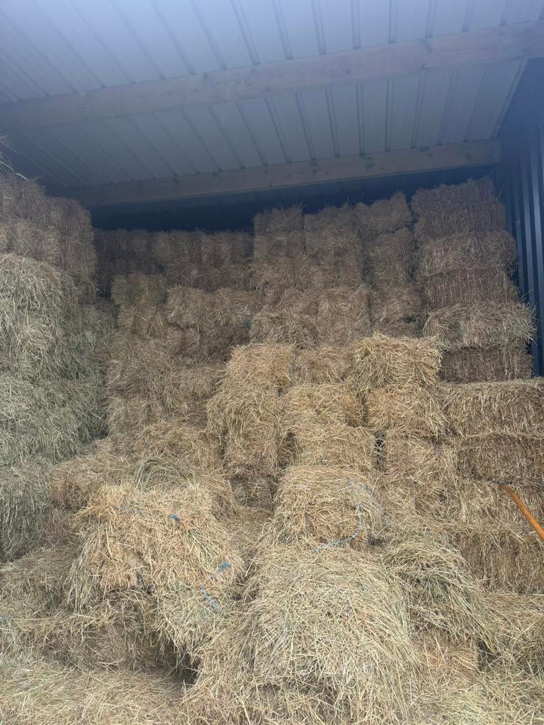 Foin bio a vendre, Enlèvement ou Envoi