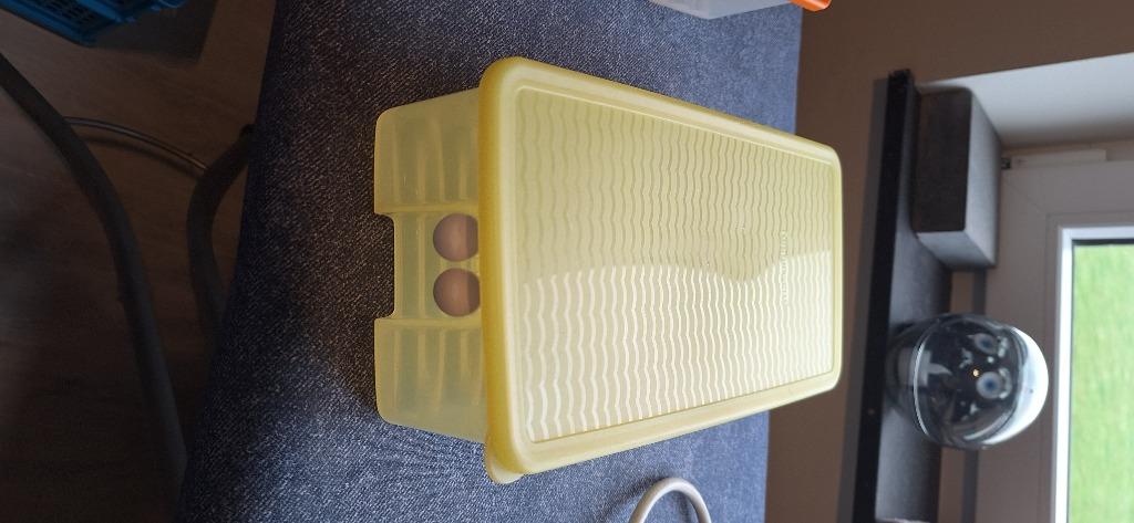 Tupperware, Enlèvement, Utilisé, Orange, Autres types