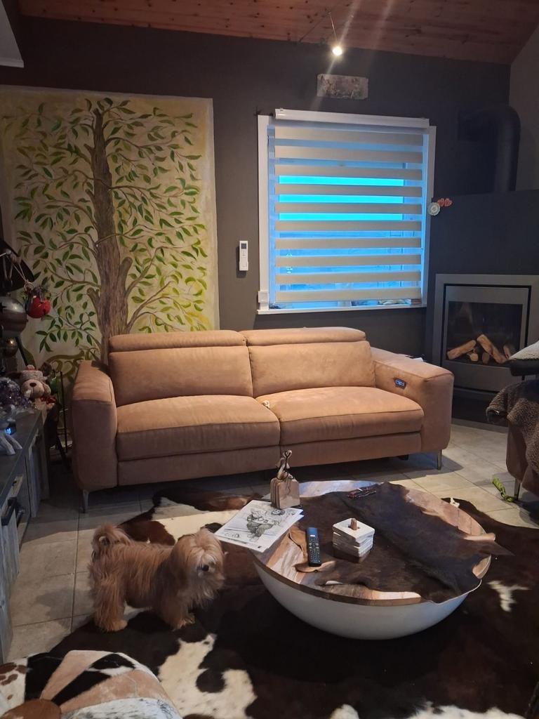 Salon te koop, Enlèvement