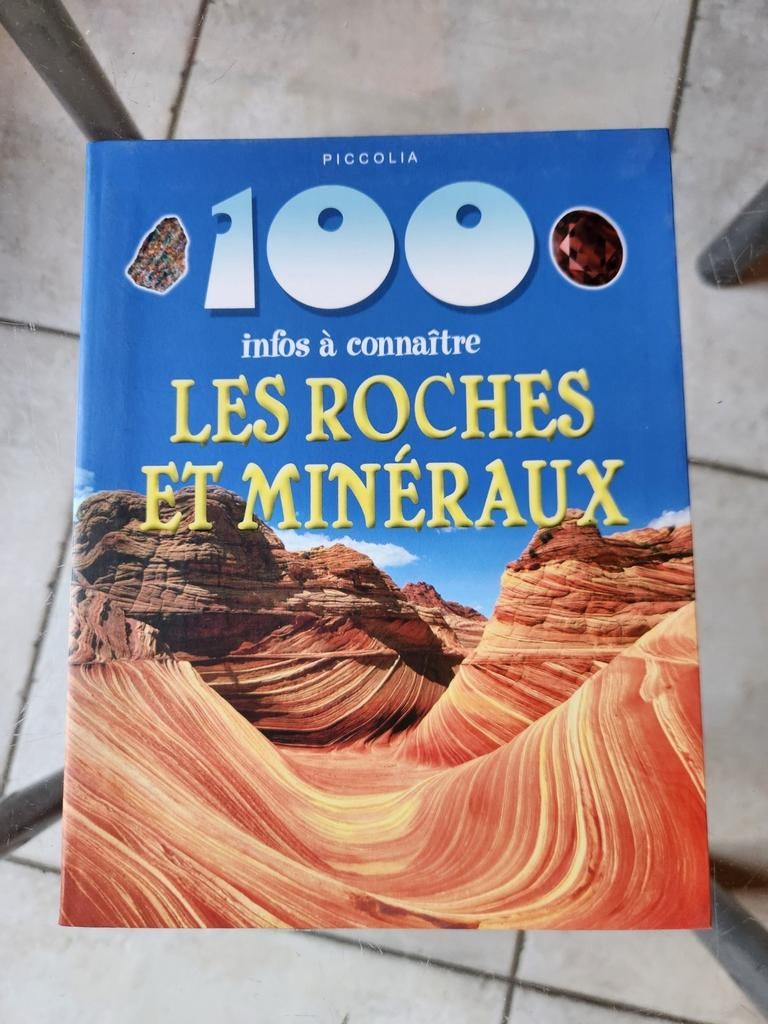 Livre 100 infos à connaître. Les roches et les minéraux., Livres, Comme neuf, Non-fiction, Piccolia, Enlèvement ou Envoi
