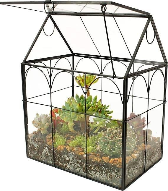 Terrarium fait main | LIVRAISON GRATUITE, Animaux & Accessoires, Reptiles & Amphibiens | Accessoires, Neuf, Autres types, Envoi