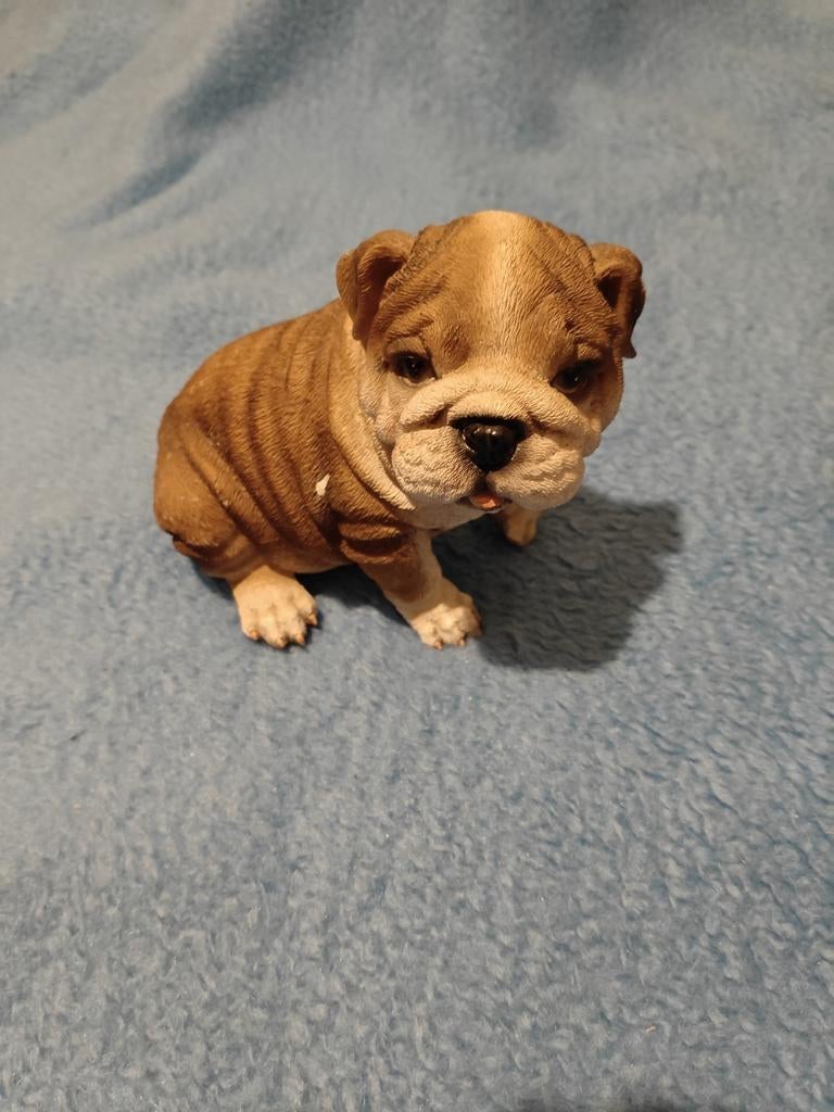 Engelse Bulldog beeldje, Ophalen, Gebruikt, Dier