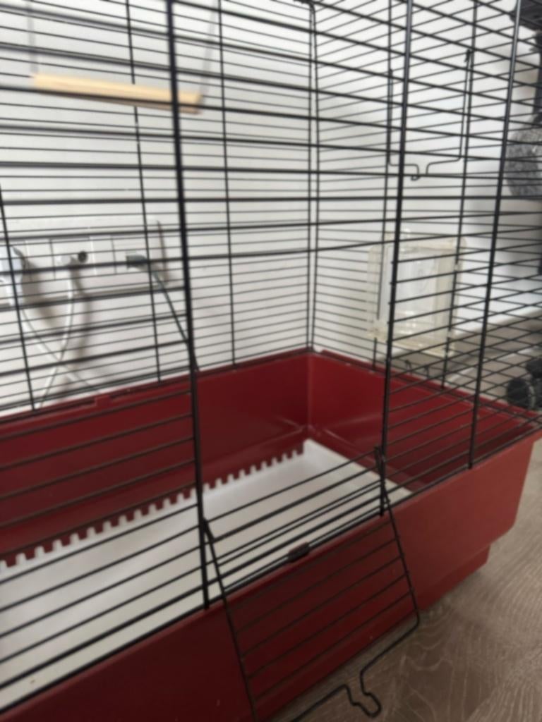 Vogelkooi 60L x 32B x 58H, Dieren en Toebehoren, Ophalen, Zo goed als nieuw, Metaal, Vogelkooi