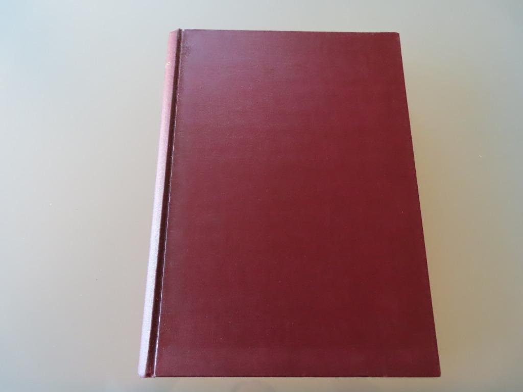 Gedachten in steen –  Martien Coppens  / De kathedrale basil, Gelezen, Ophalen of Verzenden, Martien Coppens, Overige onderwerpen
