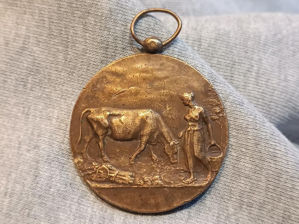 médaille de bronze - Jaarmarkt Kaprijke - 1952, Envoi, Bronze