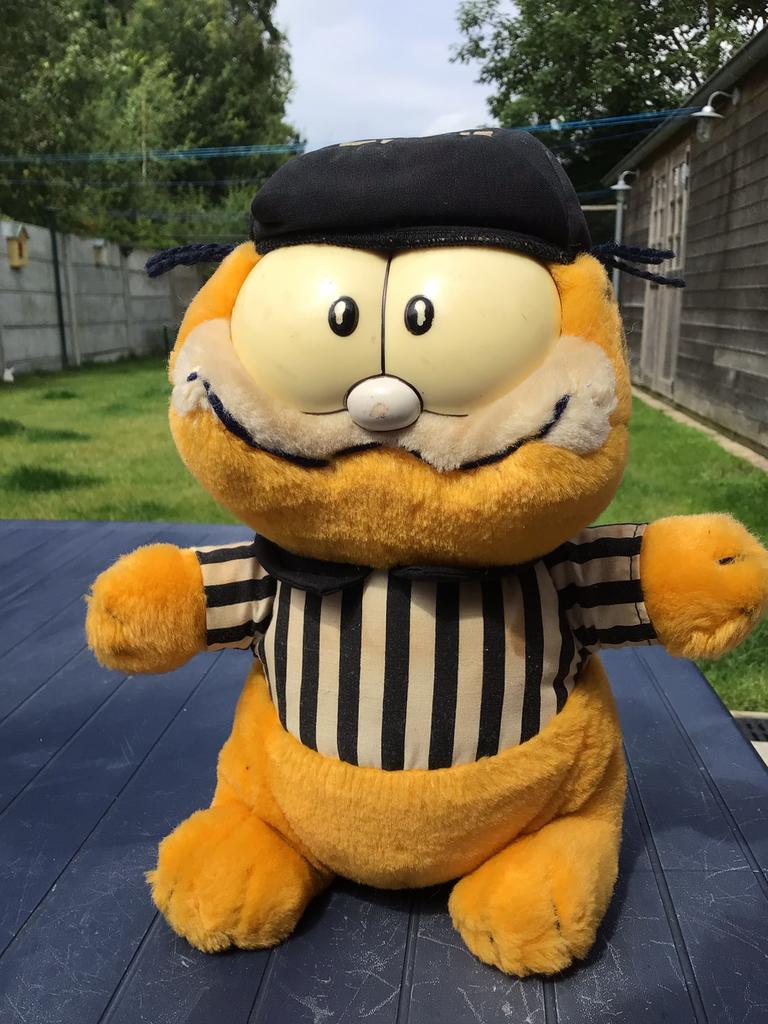 Garfield als trainer, Collections, Enlèvement, Garfield, Utilisé, Autres types
