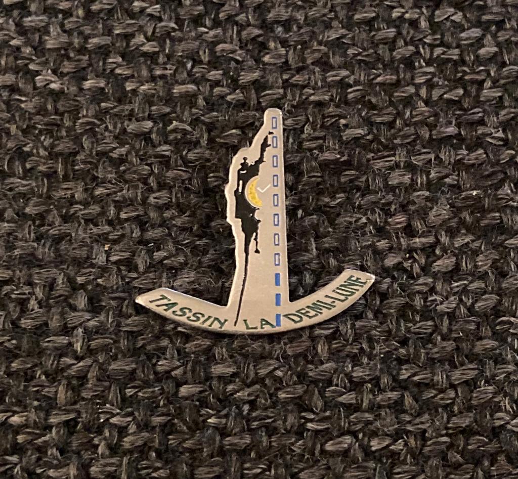PIN - TASSIN LA DEMI-LUNE - FRANCE - FRANKRIJK, Envoi, Utilisé, Ville ou Campagne, Insigne ou Pin's