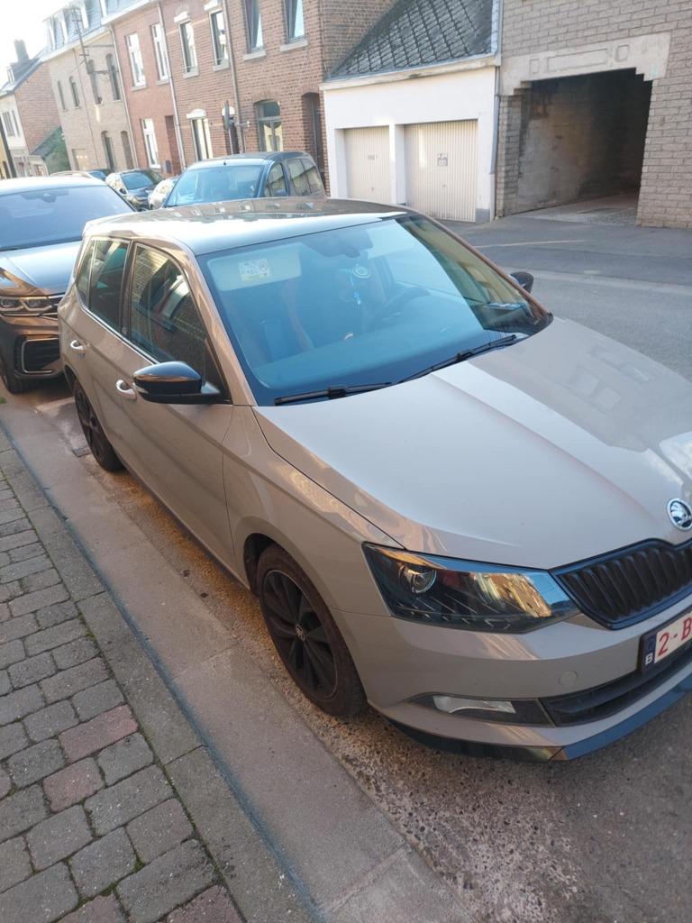 Skoda fabia tres bien entretenu, Auto's, Skoda, Particulier, Fabia, Airbags, Airconditioning, Alarm, Boordcomputer, Panoramadak