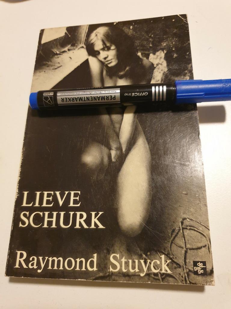 LIEVE SCHURK 1973 Raymond Stuyck cover ROGER DYCKMANS, Boeken, Overige Boeken, Gelezen, Ophalen of Verzenden