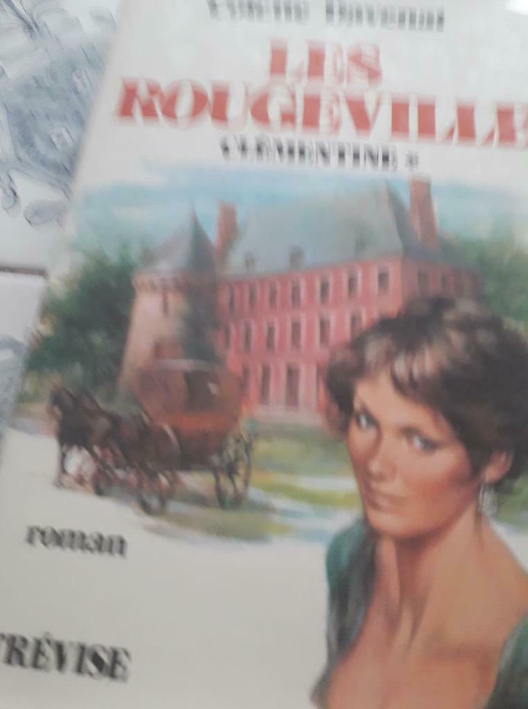 Livre LES ROUGEVILLE  CLEMENTINE TOME 1, Enlèvement ou Envoi, Utilisé, COLETTE DAVENAT