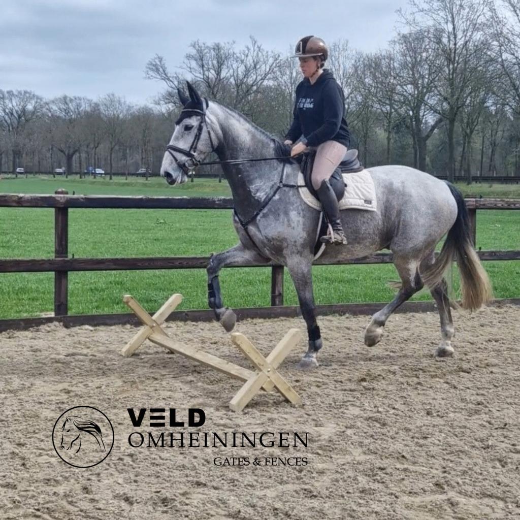 Cavaletti, Springbalk, Trainingsbalk, Hindernis, Cavalettis, Dieren en Toebehoren, Paarden en Pony's | Overige Paardenspullen
