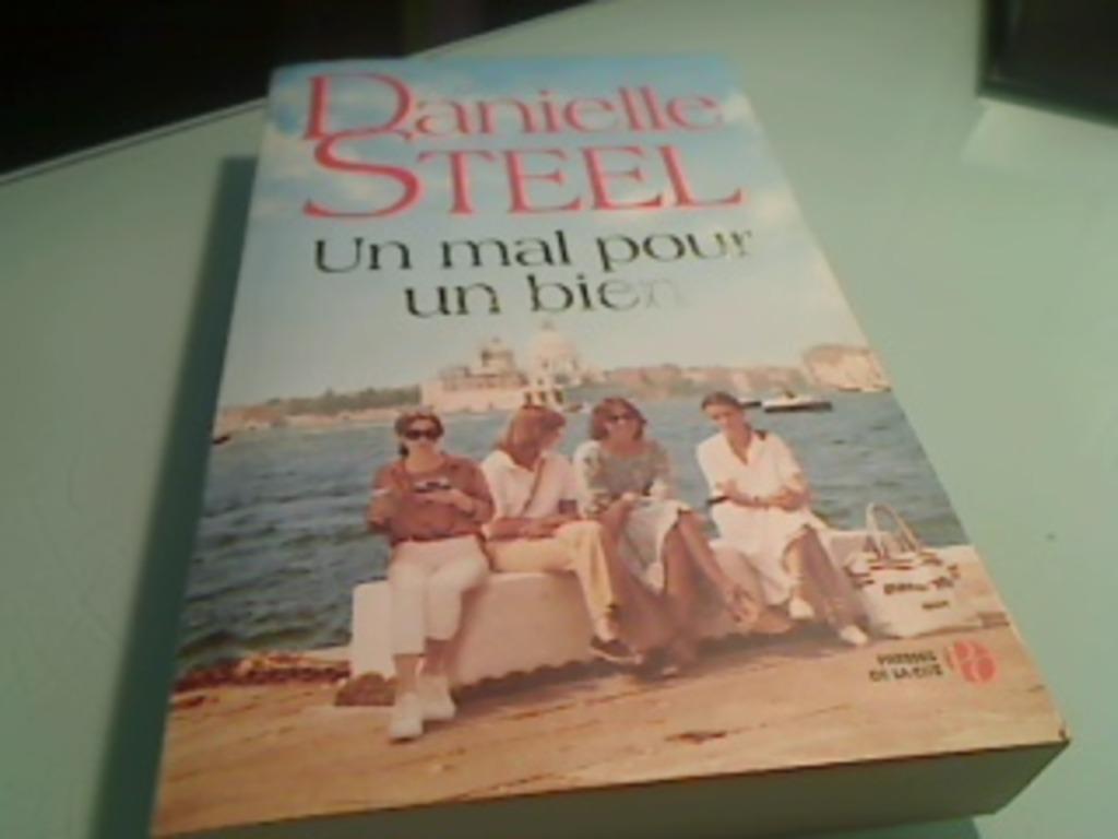 Roman de Danielle STEEL, Enlèvement ou Envoi, Comme neuf, Danielle Steel