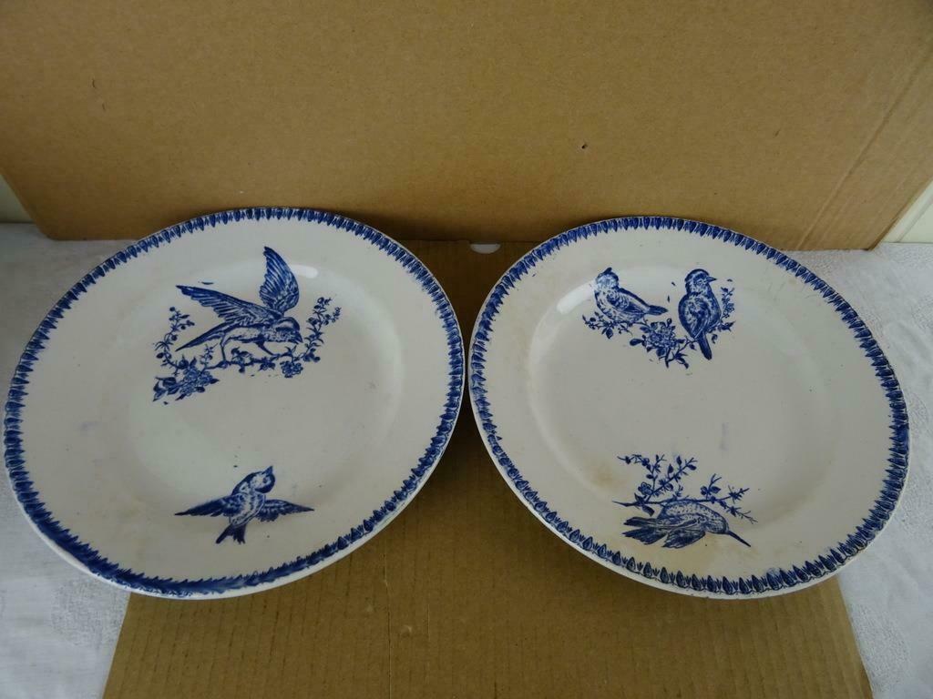 Set assiettes anciennes oiseaux 2x assiettes anciennes, Enlèvement ou Envoi