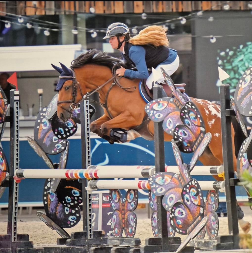 Top spring pony te koop, Animaux & Accessoires, Poneys, Hongre, Avec pedigree, Poney D (1.37 m à 1.48m), Poney de saut