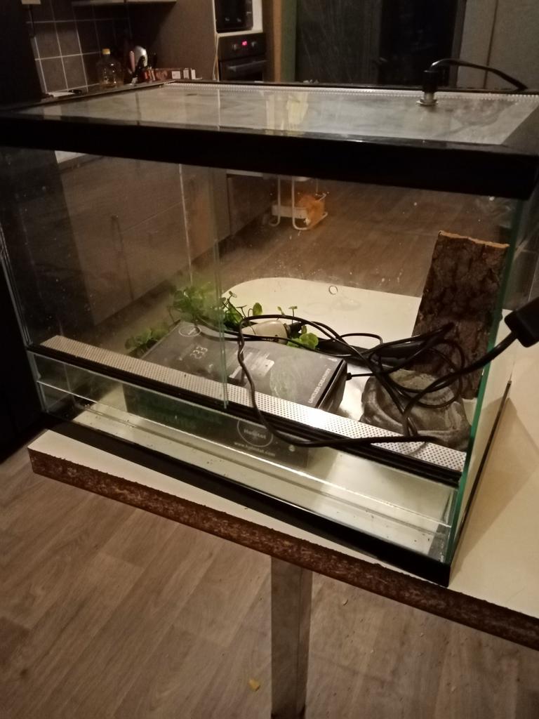 Terrarium complet avec dimmer thermostat, Enlèvement ou Envoi