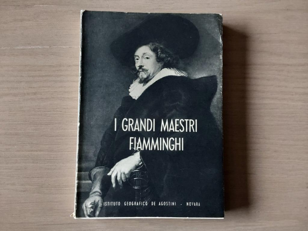 I Grandi Maestro Fiamminghi. Edoardo Michel, Ophalen of Verzenden, Gelezen