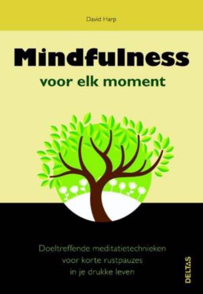 Mindfulness voor elk moment David Harp  208 blz, Ophalen of Verzenden, Zo goed als nieuw