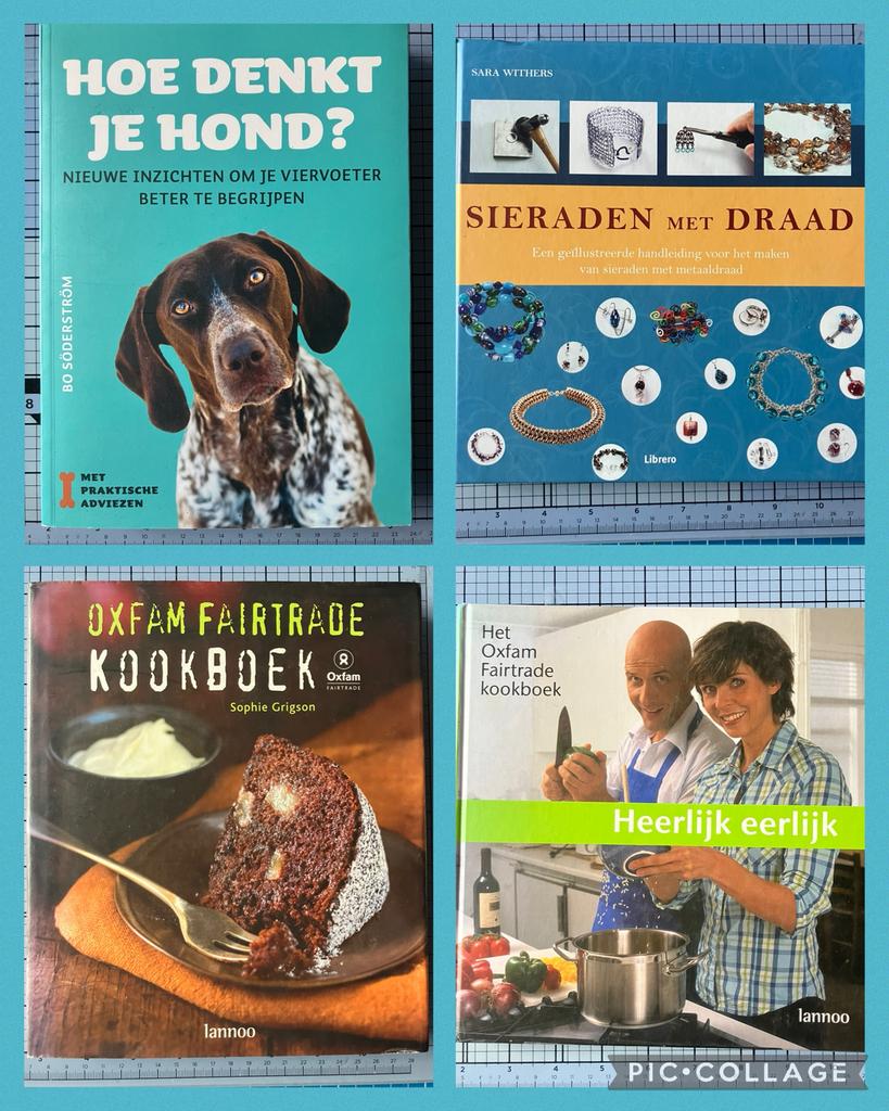 Studieboeken en vrijetijdsbieken, Boeken, Ophalen of Verzenden