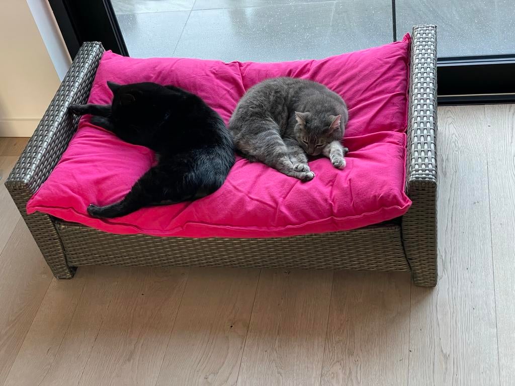Panier pour chats-chiens largeur 98 cm x 60 cm (haut 20-36), Enlèvement, Comme neuf