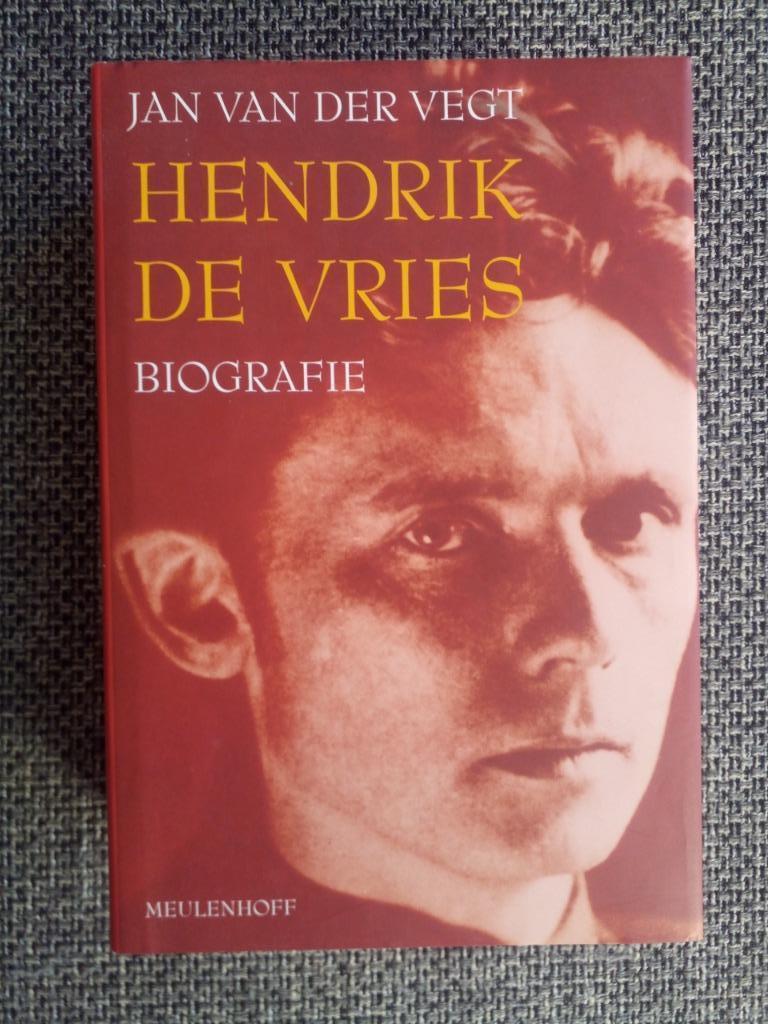 Hendrik de Vries. Biografie - Jan van der Vegt, Boeken, Kunst en Cultuur, Ophalen of Verzenden, Zo goed als nieuw, Jan van der Vegt