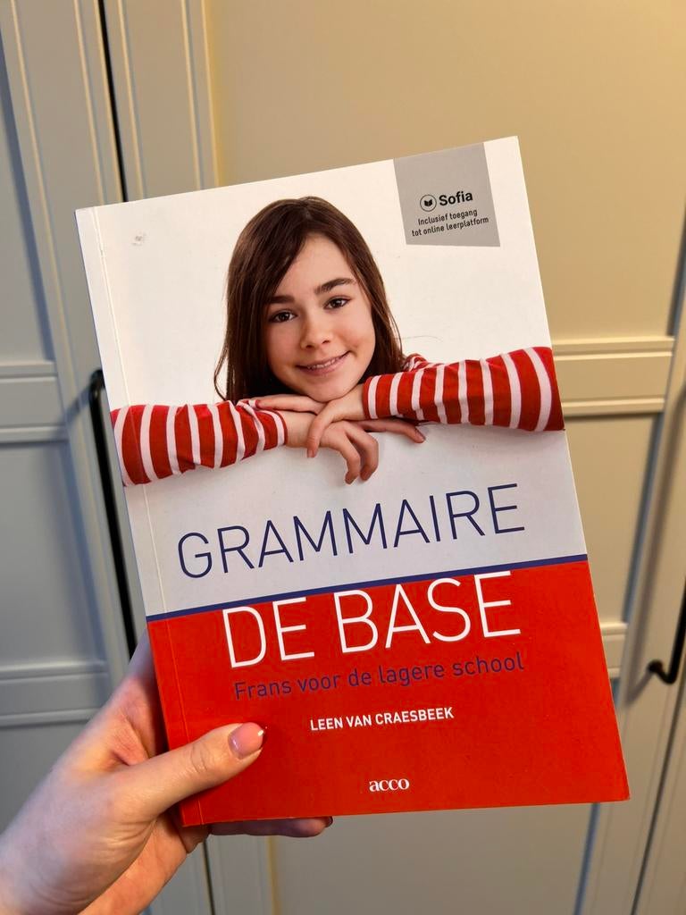 Lee Van Craesbeek - Grammaire de base, Livres, Enlèvement ou Envoi, Lee Van Craesbeek