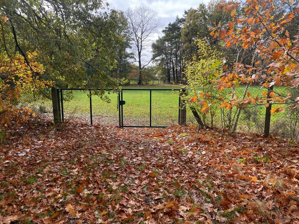 3 landbouwgronden te koop in Kasterlee, Kasterlee, Ventes sans courtier, 1500 m² ou plus