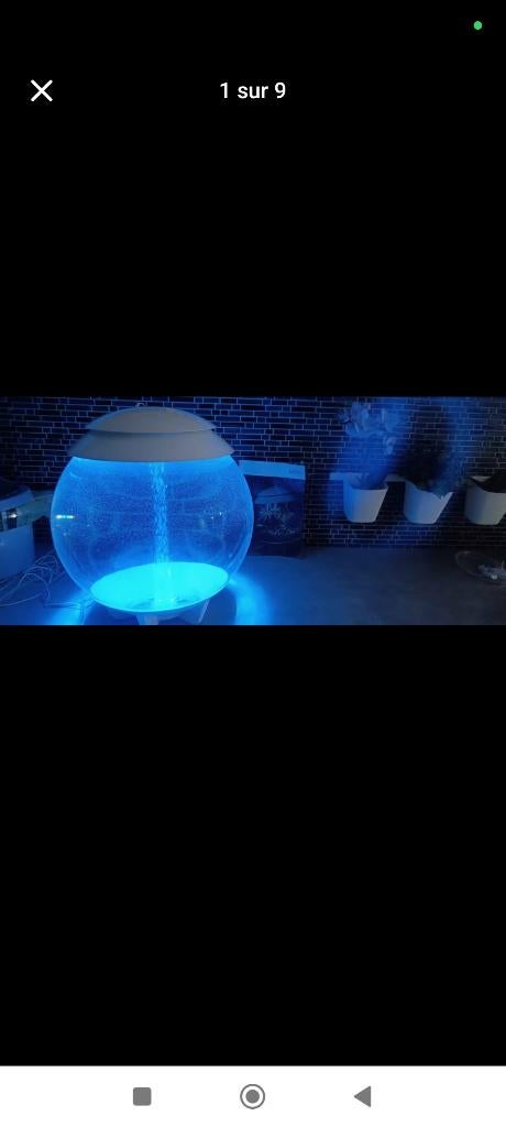 Aquarium oase, Ophalen, Zo goed als nieuw, Leeg aquarium