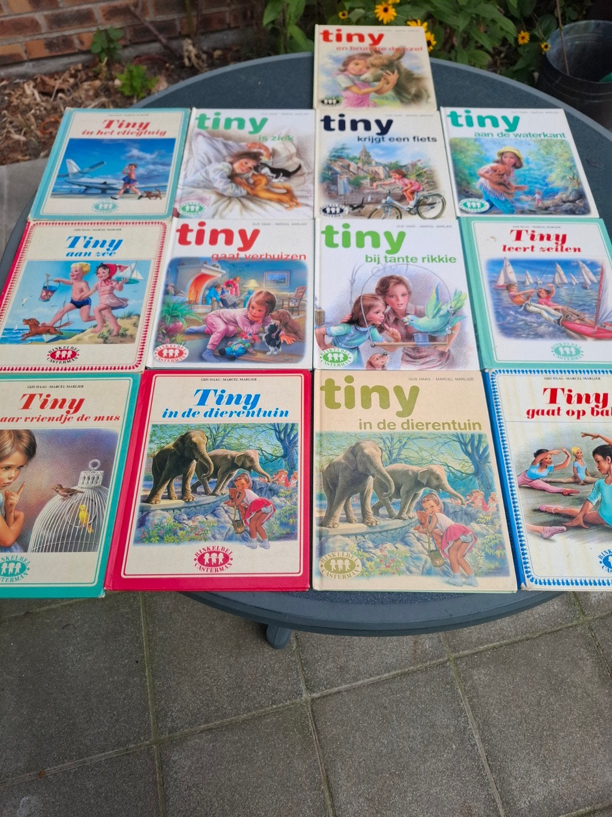tiny boekjes 13 stuks, Boeken, Ophalen, Gelezen