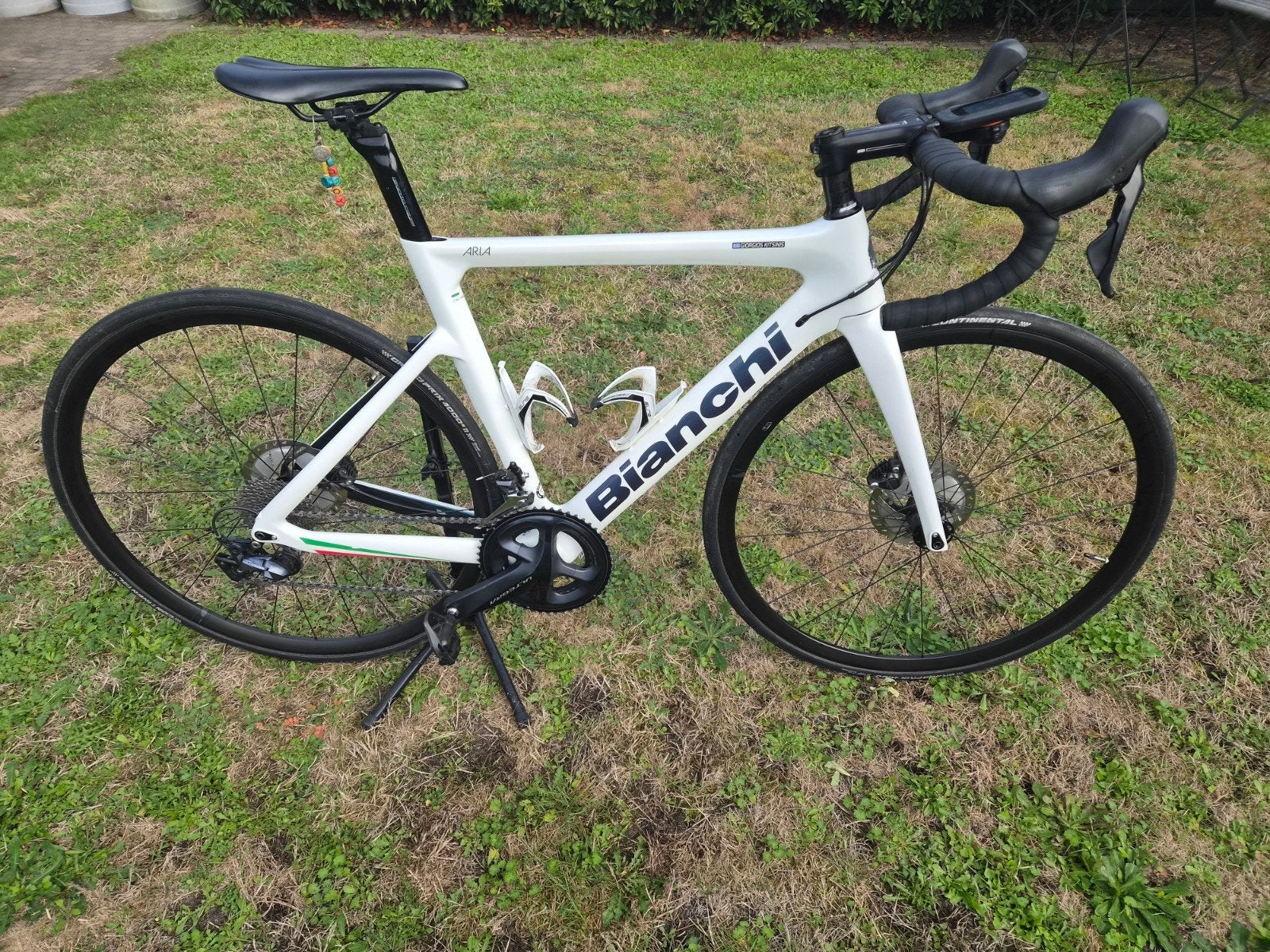 RACE FIETS, Ophalen, Carbon